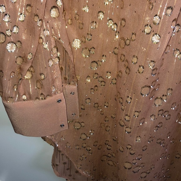 Elizabeth & James Sheer Tunic - Picture 5 of 7